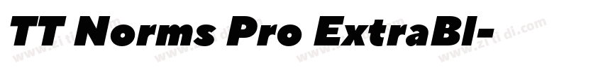TT Norms Pro ExtraBl字体转换